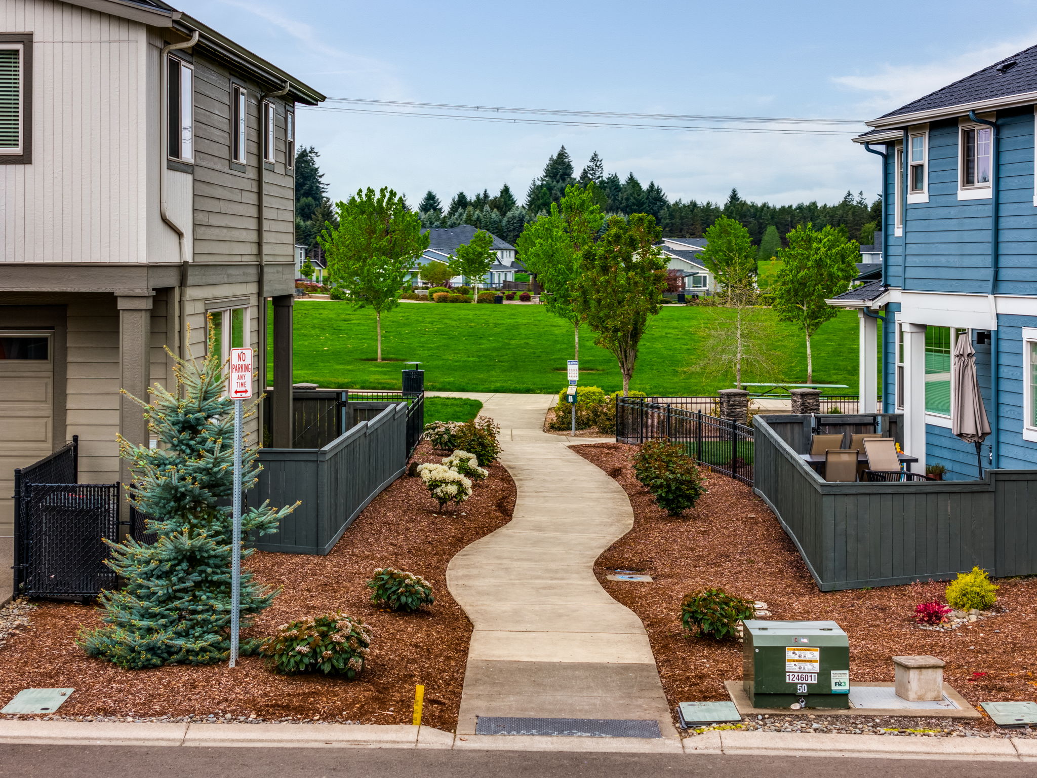 Homes and streets in Butternut Creek