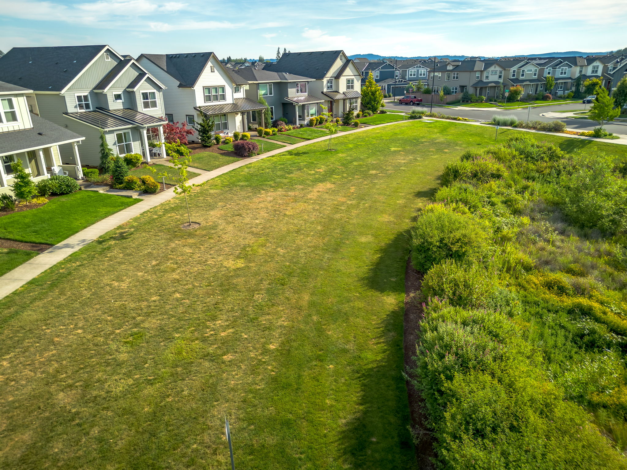 Newland and Sekisui homes at Reed's Crossing