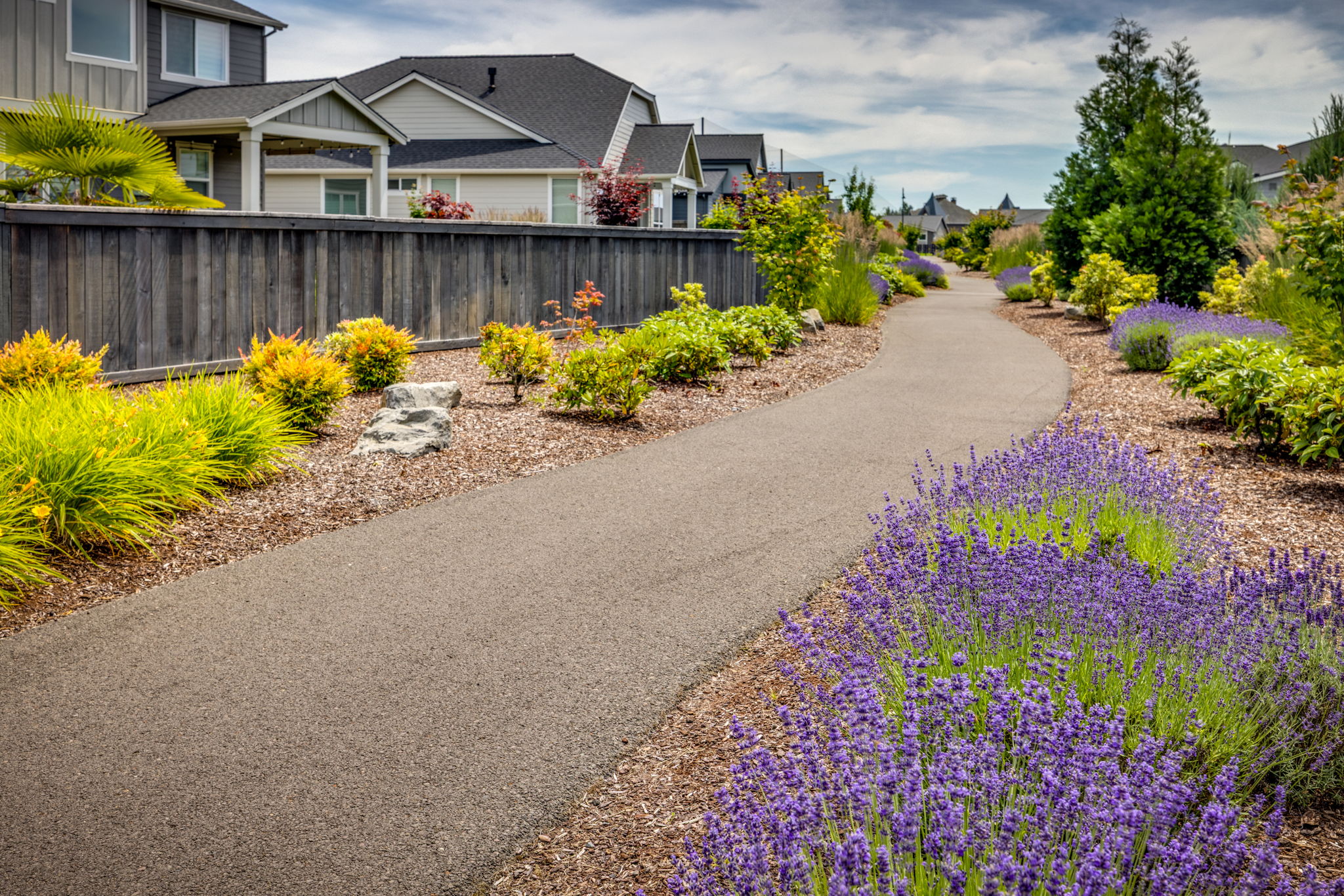 Residential street in Rosedale Parks